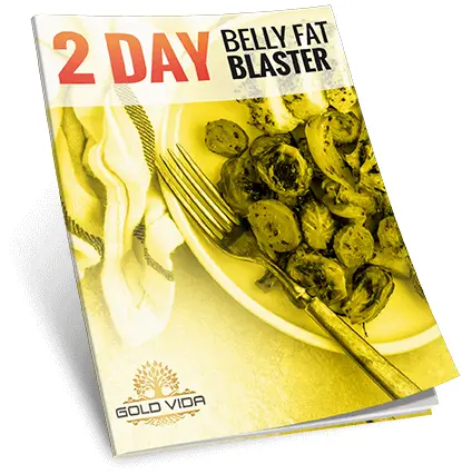 2day-bellyfat-blaster.webp