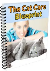 cat-blueprint.webp