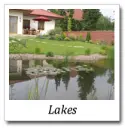 lakes-cat.webp