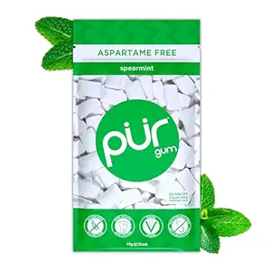 PUR Gum | Aspartame Free Chewing Gum | 100% Xylitol | Natural Spearmint Flavored Gum, 55 Pieces (Pack of 1)