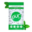 PUR Gum | Aspartame Free Chewing Gum | 100% Xylitol | Natural Spearmint Flavored Gum, 55 Pieces (Pack of 1)