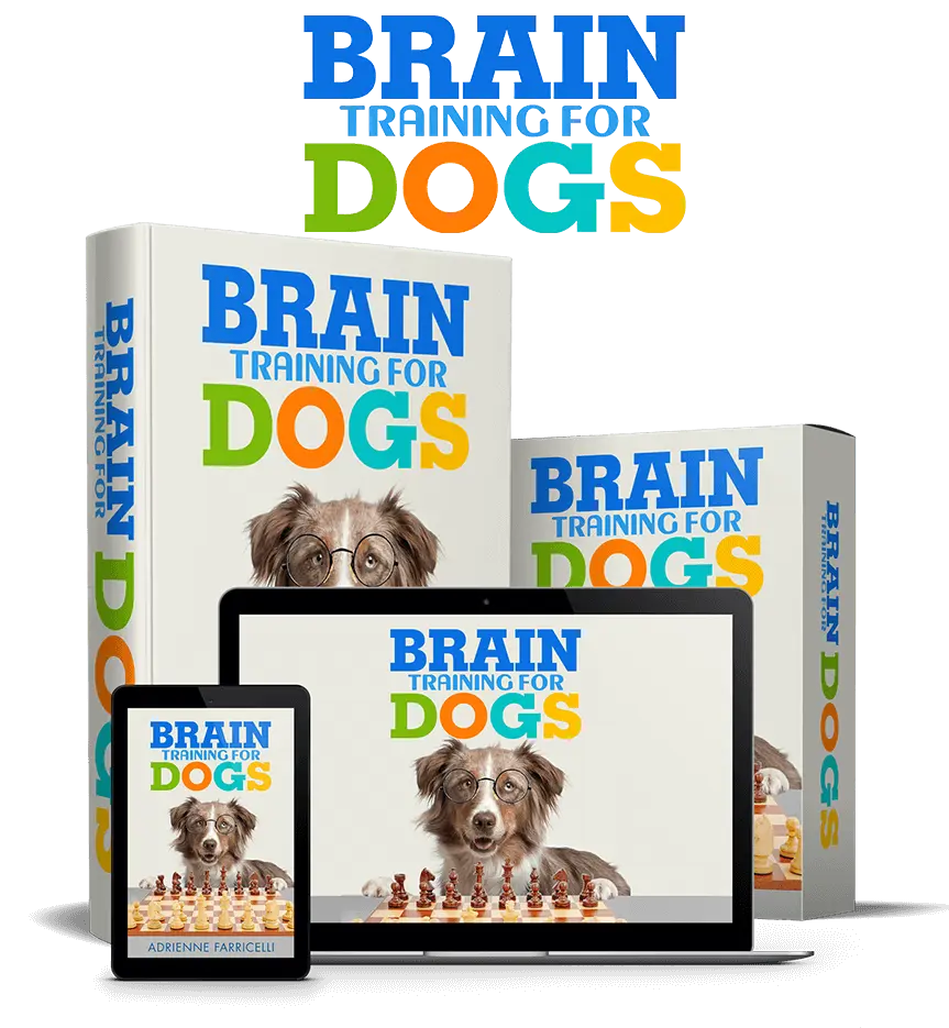 Brain Training for Dogs - Unique Dog Training Course!