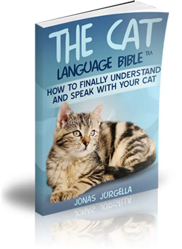 Cat Language Bible (TM) How to Finally Speak Cat!