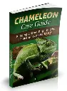 Chameleon Care Guide