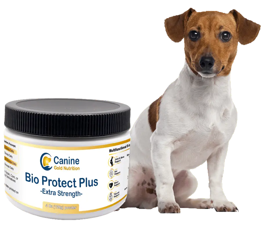 Bio Protect Plus - First & Only Vet-Formulated Dog Supplement