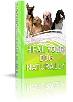 Heal Your Dog Naturally