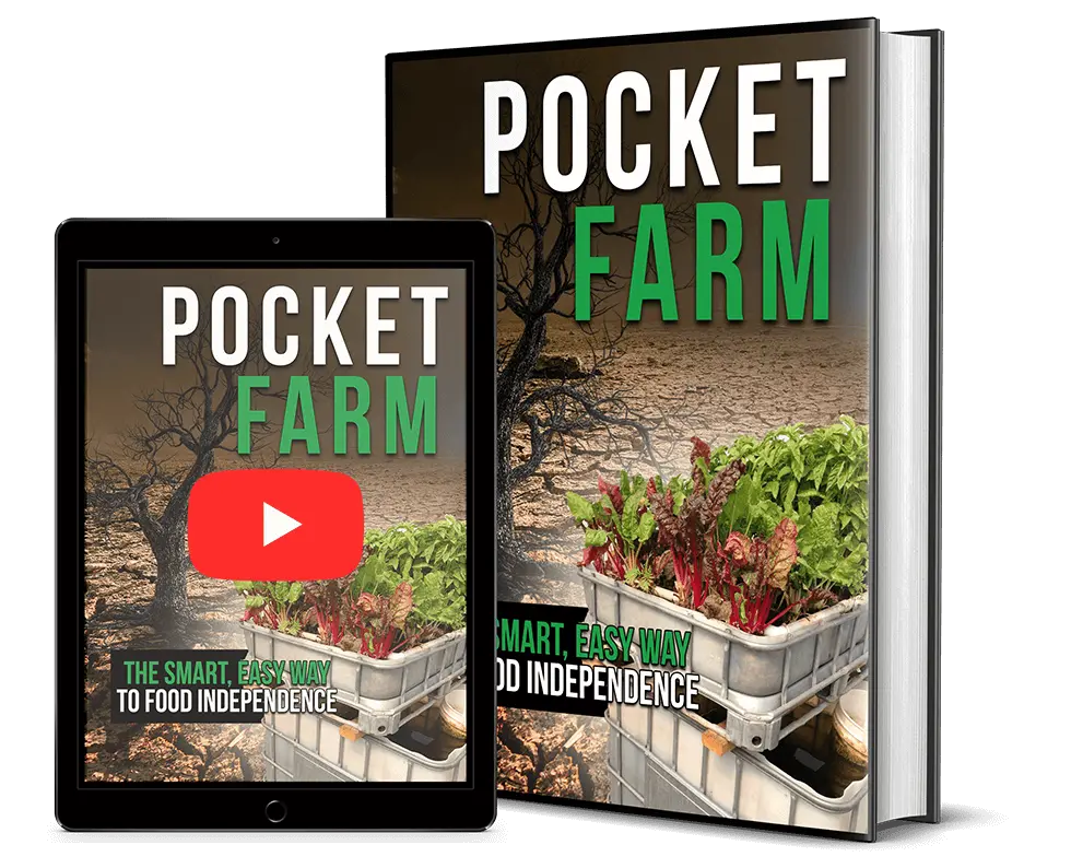 New Food Offer: Pocket Farm!