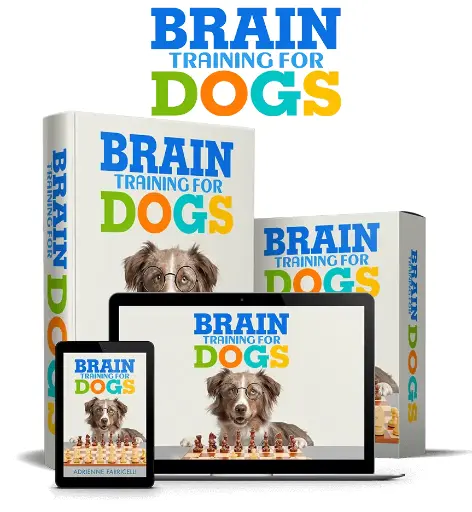 Brain Training for Dogs - Unique Dog Training Course!