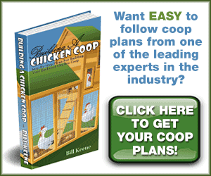 How To Build A Chicken Coop