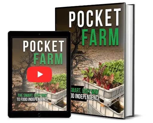 New Food Offer: Pocket Farm!